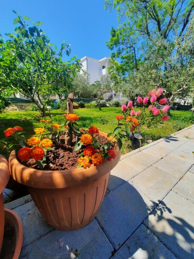 Apartment Noa'S Garden Bibinje Exteriér fotografie